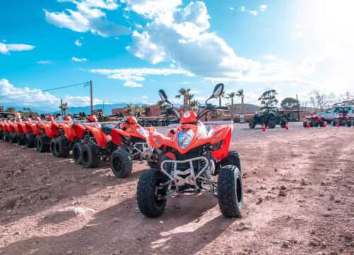 Medio día en quad en Lake & Atlas